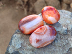 Polished Carnelian Palm Stones x 35 From Madagascar - Toprock Gemstones and Minerals 