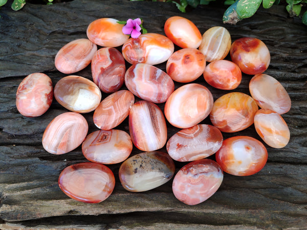 Polished Carnelian Palm Stones x 35 From Madagascar