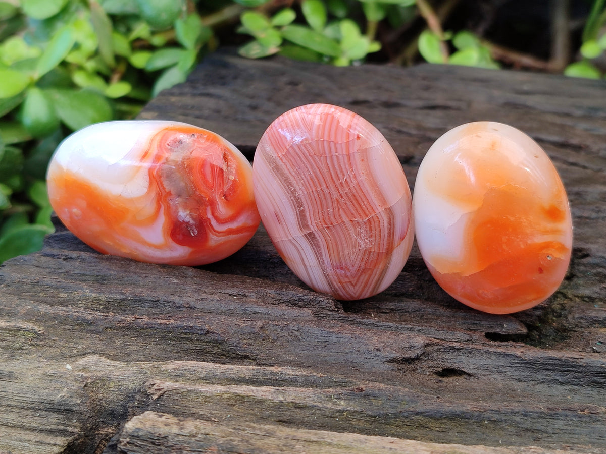 Polished Carnelian Palm Stones x 35 From Madagascar - Toprock Gemstones and Minerals 