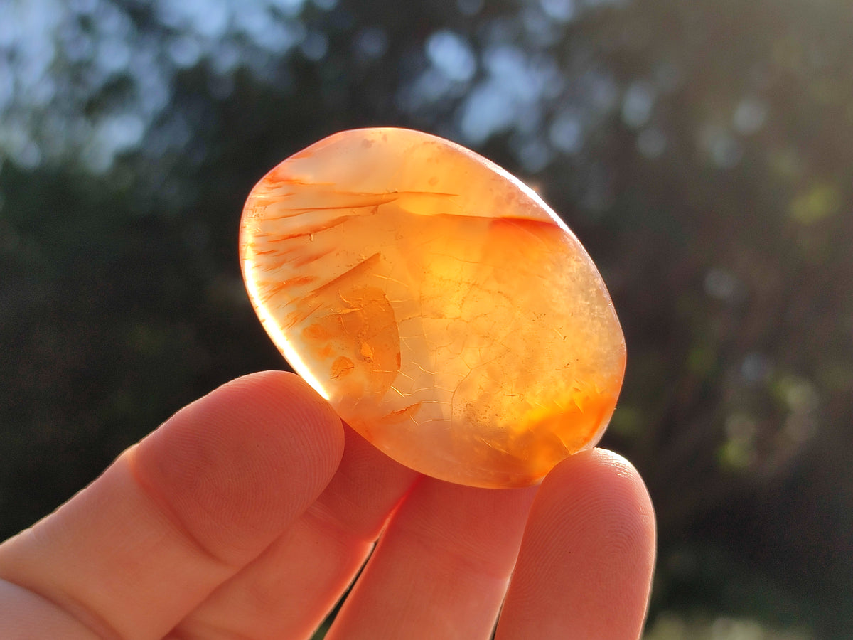 Polished Carnelian Palm Stones x 35 From Madagascar - Toprock Gemstones and Minerals 