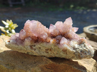 Natural Cactus Flower Amethyst Spirit Quartz Clusters x 5 From South Africa - Toprock Gemstones and Minerals 
