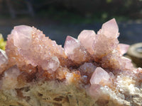 Natural Cactus Flower Amethyst Spirit Quartz Clusters x 5 From South Africa - Toprock Gemstones and Minerals 