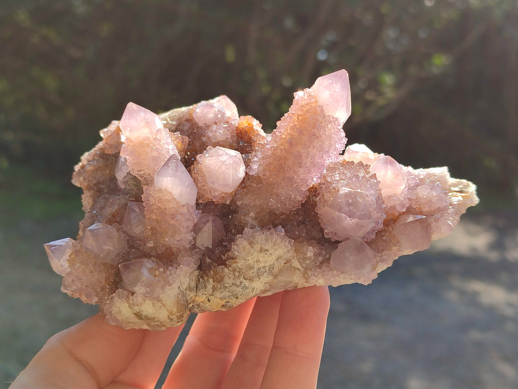 Natural Cactus Flower Amethyst Spirit Quartz Clusters x 5 From South Africa - Toprock Gemstones and Minerals 