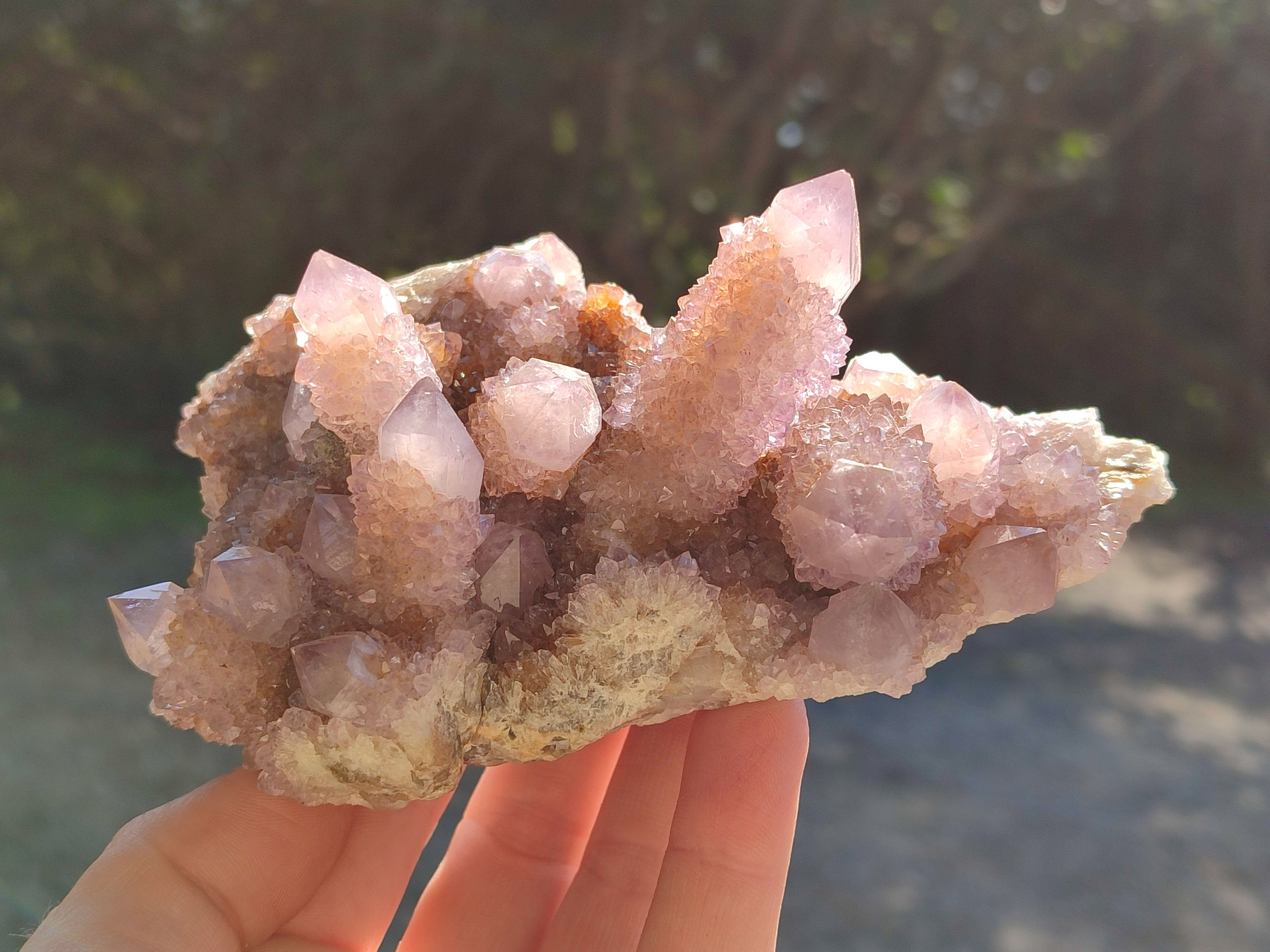 Natural Cactus Flower Amethyst Spirit Quartz Clusters x 5 From South Africa - Toprock Gemstones and Minerals 