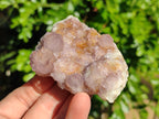 Natural Cactus Flower Amethyst Spirit Quartz Clusters x 5 From South Africa - Toprock Gemstones and Minerals 