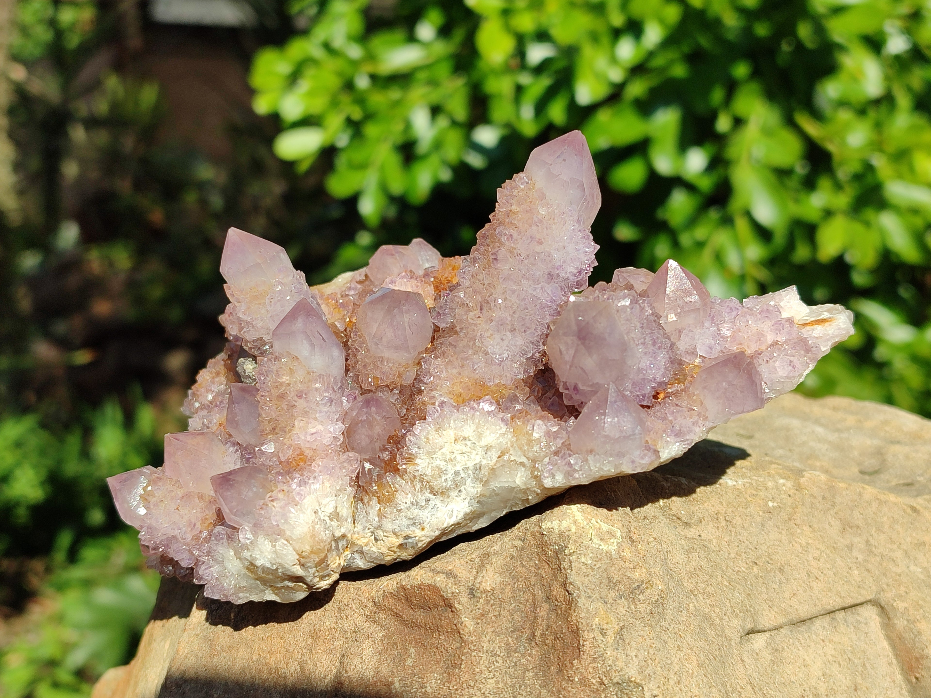 Natural Cactus Flower Amethyst Spirit Quartz Clusters x 5 From South Africa - Toprock Gemstones and Minerals 
