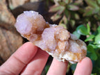 Natural Cactus Flower Amethyst Spirit Quartz Clusters x 5 From South Africa - Toprock Gemstones and Minerals 