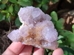 Natural Cactus Flower Amethyst Spirit Quartz Clusters x 5 From South Africa - Toprock Gemstones and Minerals 