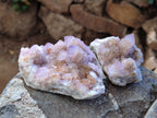 Natural Cactus Flower Amethyst Spirit Quartz Clusters x 5 From South Africa - Toprock Gemstones and Minerals 