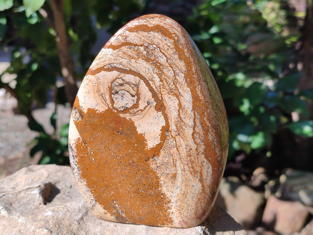 Polished Picture Stone Jasper Standing Free Forms x 2 From Ais-Ais, Namibia - Toprock Gemstones and Minerals 