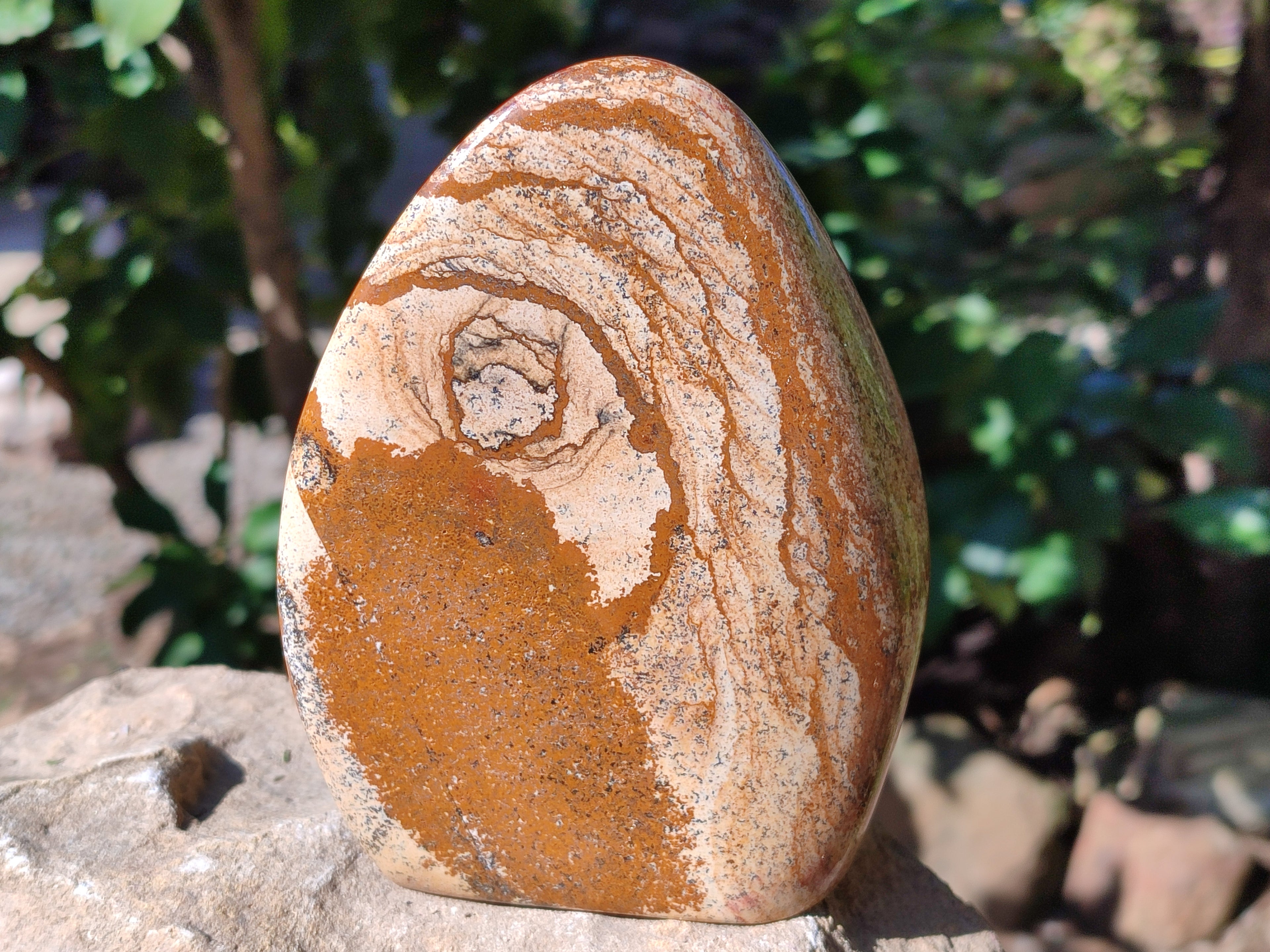 Polished Picture Stone Jasper Standing Free Forms x 2 From Ais-Ais, Namibia - Toprock Gemstones and Minerals 