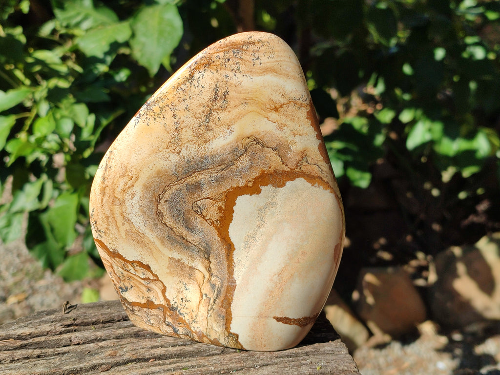 Polished Picture Stone Jasper Standing Free Forms x 2 From Ais-Ais, Namibia - Toprock Gemstones and Minerals 