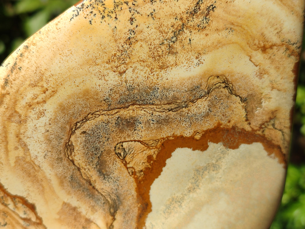 Polished Picture Stone Jasper Standing Free Forms x 2 From Ais-Ais, Namibia - Toprock Gemstones and Minerals 