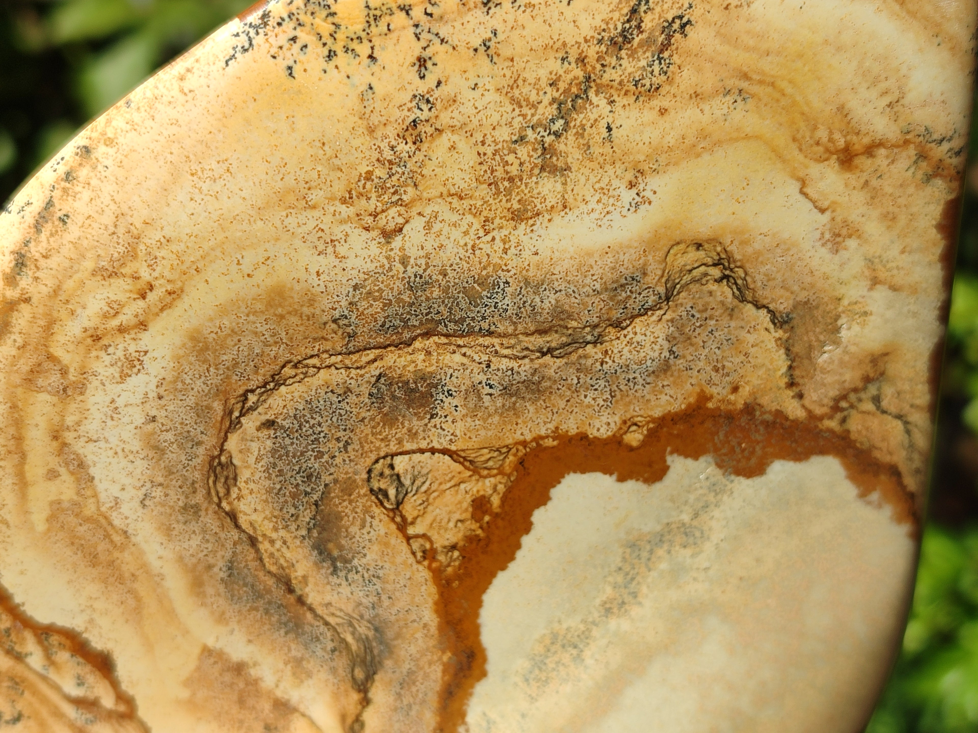 Polished Picture Stone Jasper Standing Free Forms x 2 From Ais-Ais, Namibia - Toprock Gemstones and Minerals 