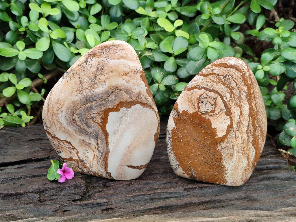 Polished Picture Stone Jasper Standing Free Forms x 2 From Ais-Ais, Namibia - Toprock Gemstones and Minerals 
