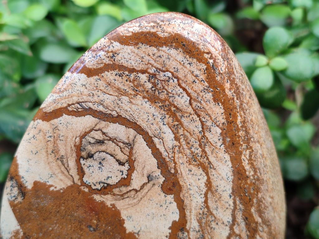 Polished Picture Stone Jasper Standing Free Forms x 2 From Ais-Ais, Namibia - Toprock Gemstones and Minerals 