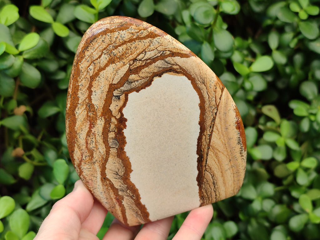 Polished Picture Stone Jasper Standing Free Forms x 2 From Ais-Ais, Namibia - Toprock Gemstones and Minerals 