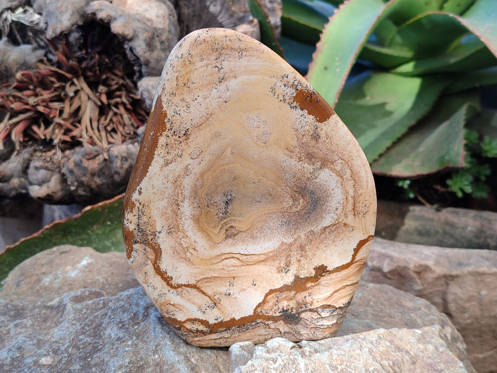 Polished Picture Stone Jasper Standing Free Forms x 2 From Ais-Ais, Namibia - Toprock Gemstones and Minerals 