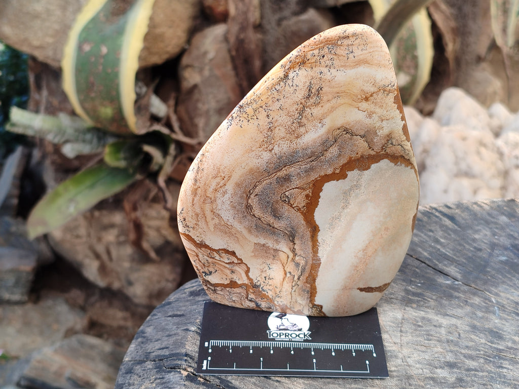 Polished Picture Stone Jasper Standing Free Forms x 2 From Ais-Ais, Namibia - Toprock Gemstones and Minerals 