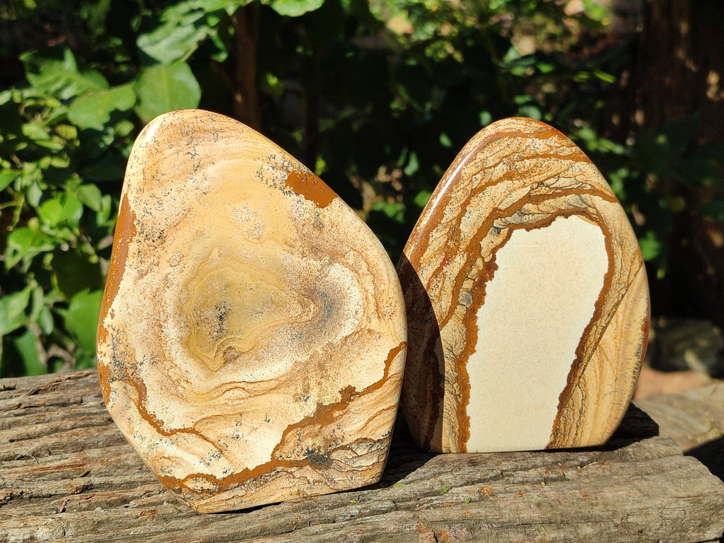 Polished Picture Stone Jasper Standing Free Forms x 2 From Ais-Ais, Namibia - Toprock Gemstones and Minerals 