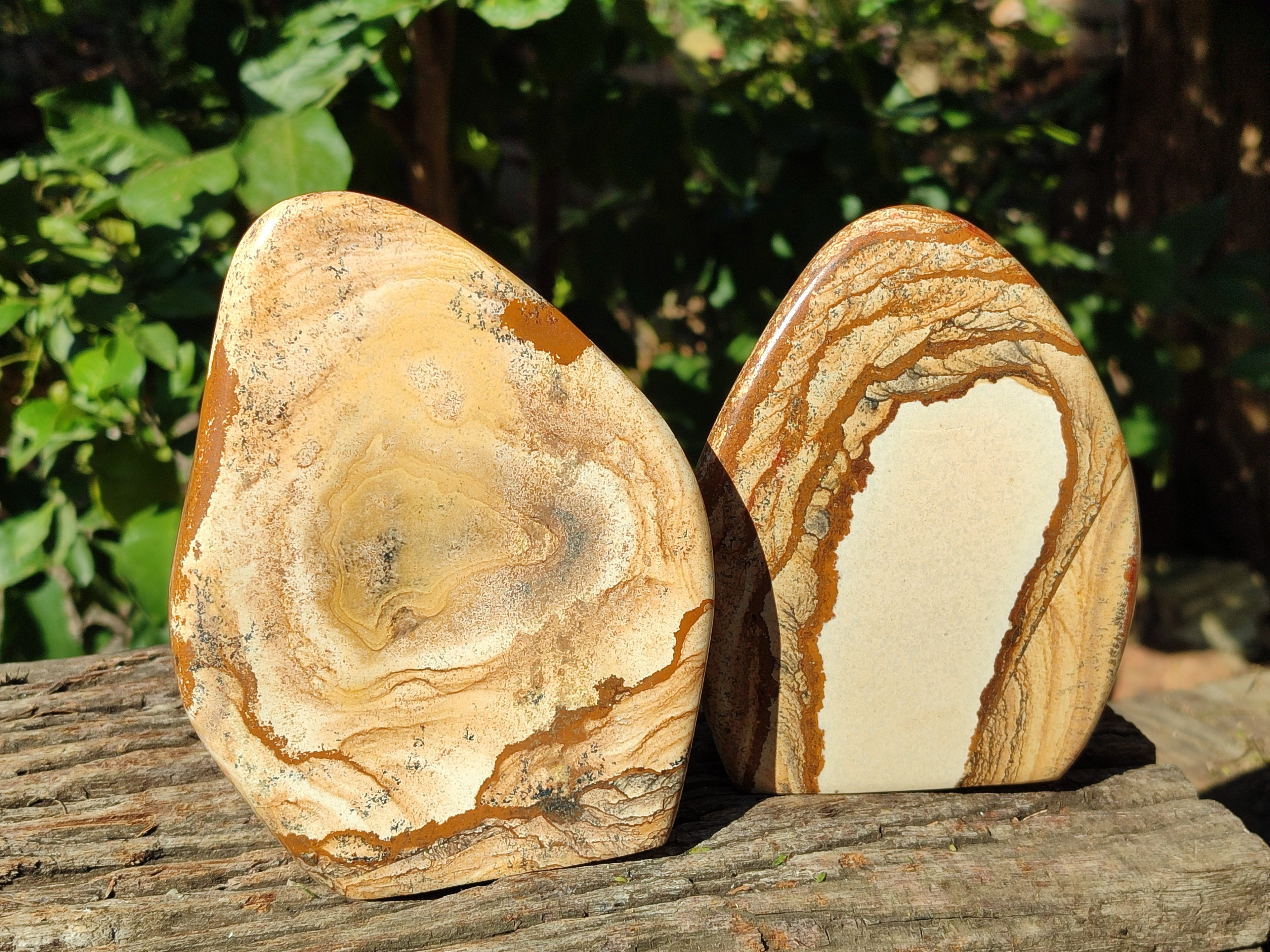 Polished Picture Stone Jasper Standing Free Forms x 2 From Ais-Ais, Namibia - Toprock Gemstones and Minerals 