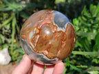 Polished Polychrome Jasper Spheres x 2 From Northwest Coast, Madagascar - Toprock Gemstones and Minerals 
