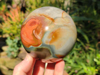 Polished Polychrome Jasper Spheres x 2 From Northwest Coast, Madagascar - Toprock Gemstones and Minerals 
