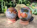 Polished Polychrome Jasper Spheres x 2 From Northwest Coast, Madagascar - Toprock Gemstones and Minerals 