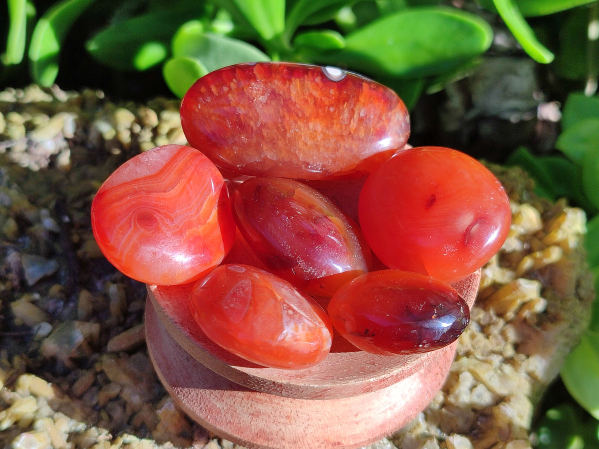 Polished Small Carnelian Agate "Jewellery" Palm Stones x 70 From Madagascar - Toprock Gemstones and Minerals 