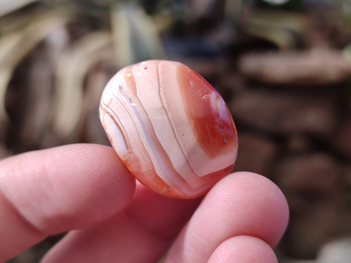 Polished Small Carnelian Agate "Jewellery" Palm Stones x 70 From Madagascar - Toprock Gemstones and Minerals 