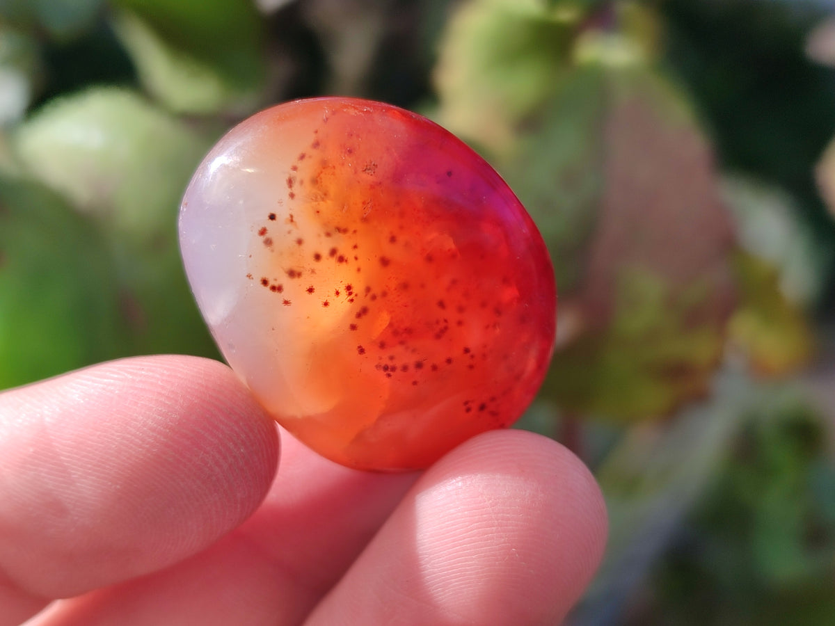 Polished Small Carnelian Agate "Jewellery" Palm Stones x 70 From Madagascar - Toprock Gemstones and Minerals 