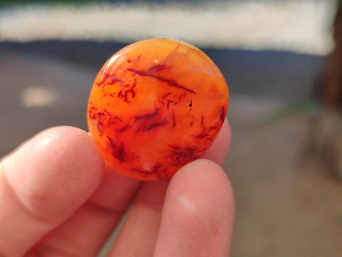 Polished Small Carnelian Agate "Jewellery" Palm Stones x 70 From Madagascar - Toprock Gemstones and Minerals 