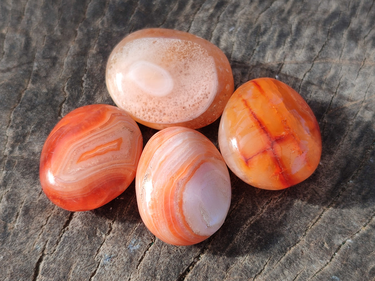 Polished Small Carnelian Agate "Jewellery" Palm Stones x 70 From Madagascar - Toprock Gemstones and Minerals 