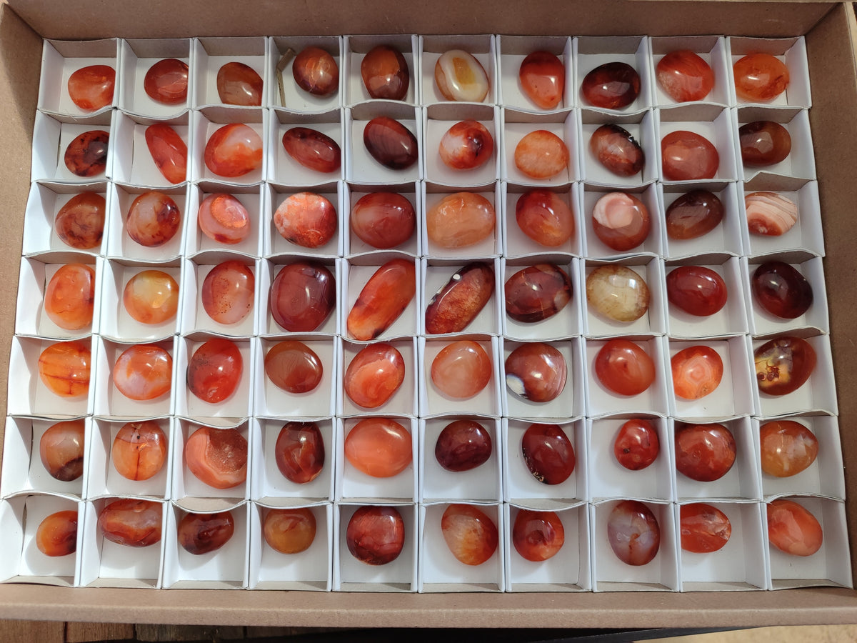 Polished Small Carnelian Agate "Jewellery" Palm Stones x 70 From Madagascar - Toprock Gemstones and Minerals 