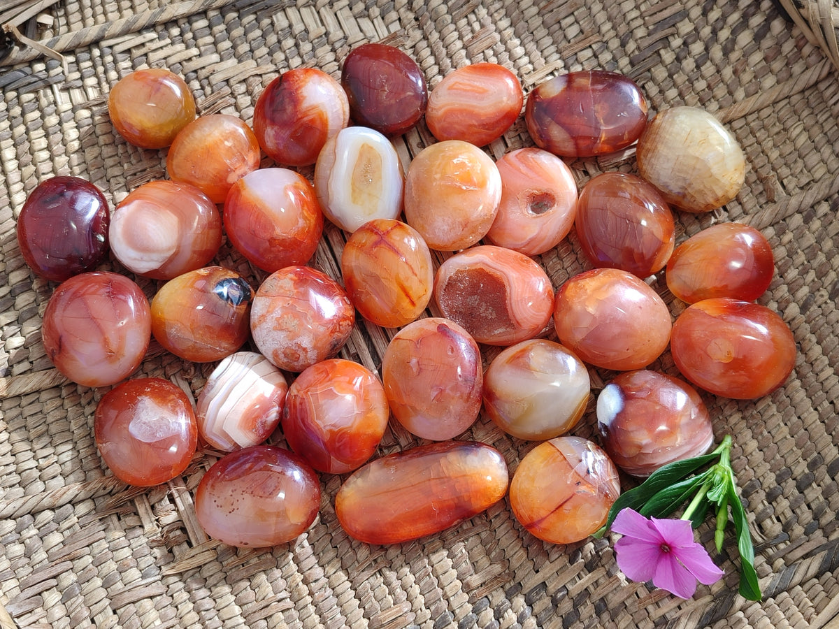 Polished Small Carnelian Agate "Jewellery" Palm Stones x 70 From Madagascar - Toprock Gemstones and Minerals 