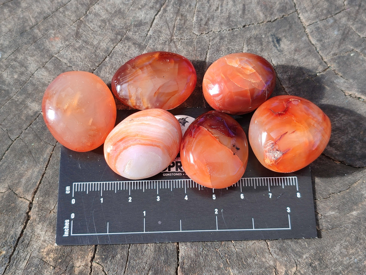 Polished Small Carnelian Agate "Jewellery" Palm Stones x 70 From Madagascar - Toprock Gemstones and Minerals 