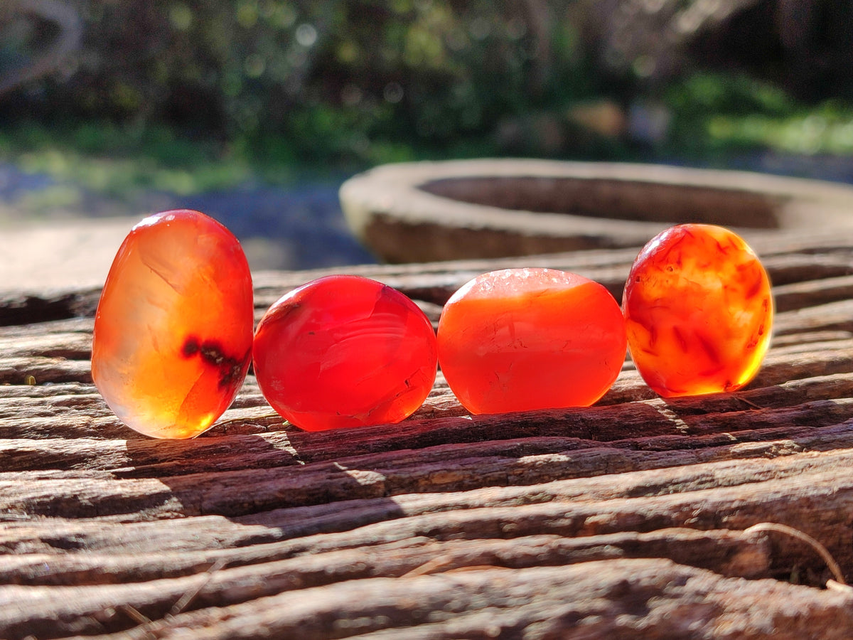 Polished Small Carnelian Agate "Jewellery" Palm Stones x 70 From Madagascar - Toprock Gemstones and Minerals 