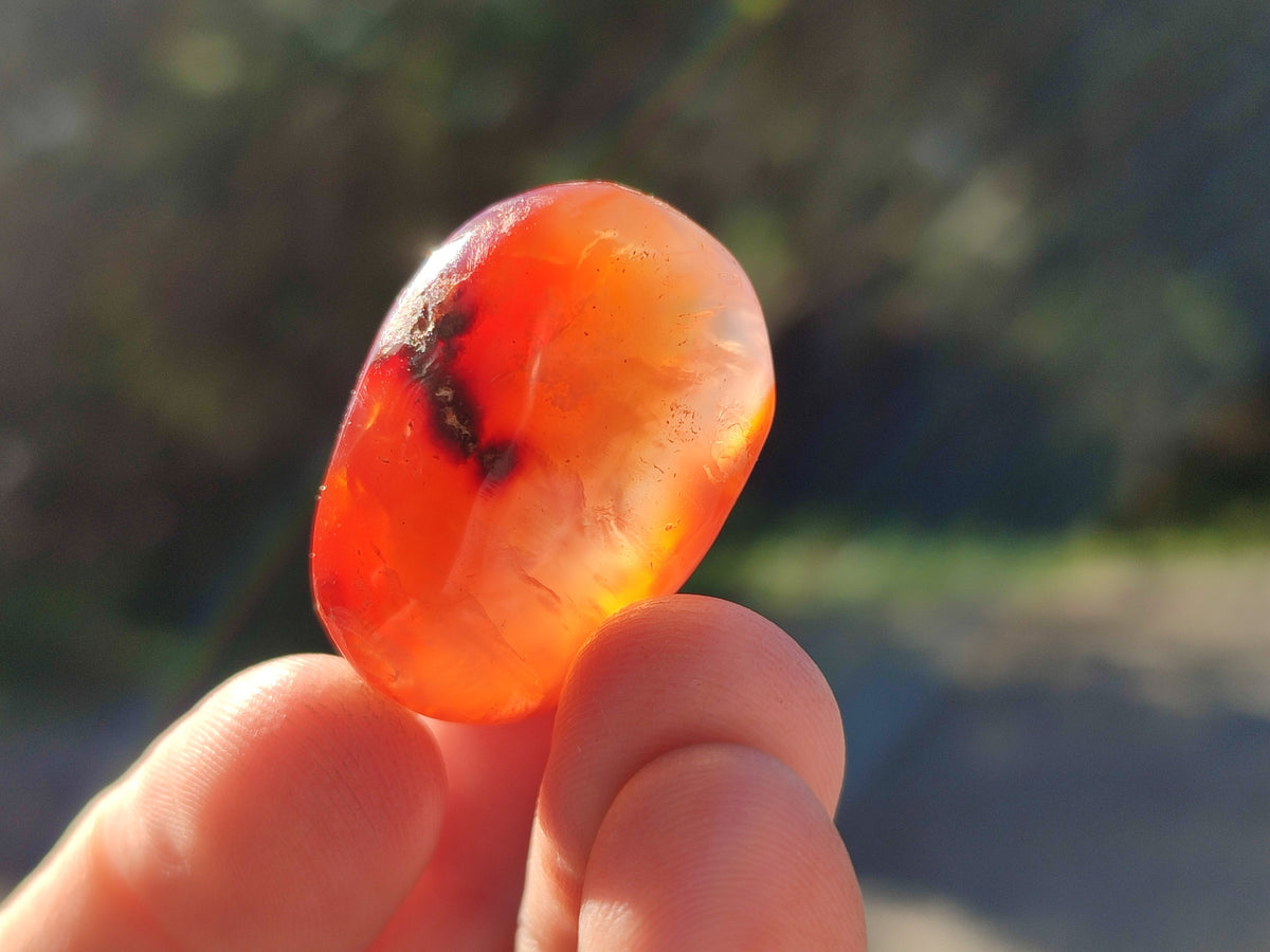 Polished Small Carnelian Agate "Jewellery" Palm Stones x 70 From Madagascar - Toprock Gemstones and Minerals 