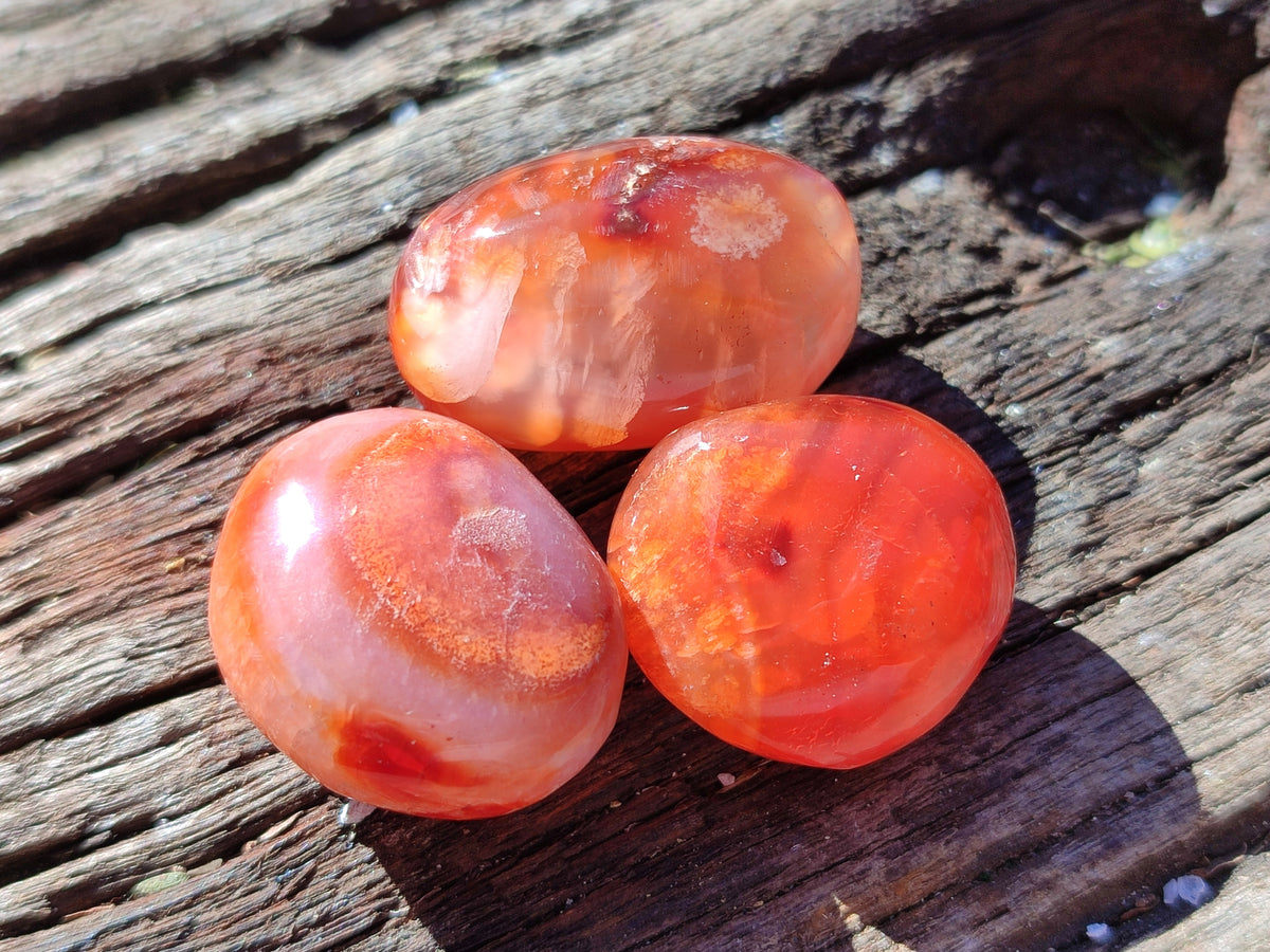Polished Small Carnelian Agate "Jewellery" Palm Stones x 70 From Madagascar - Toprock Gemstones and Minerals 