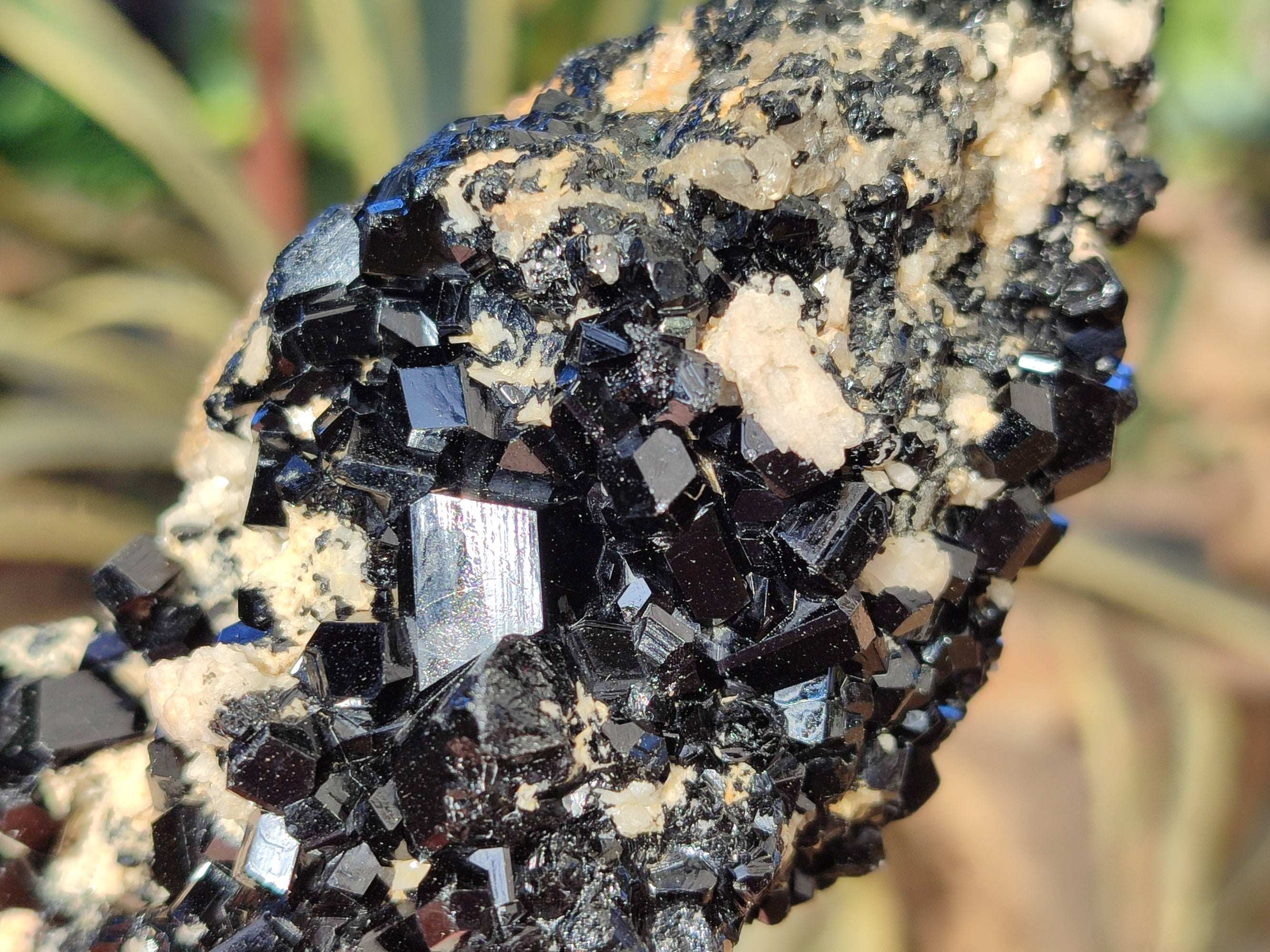Natural Schorl Black Tourmaline on Orthoclase Matrix Clusters with a bit of Hyalite Opal x 6 From Erongo, Namibia - Toprock Gemstones and Minerals 
