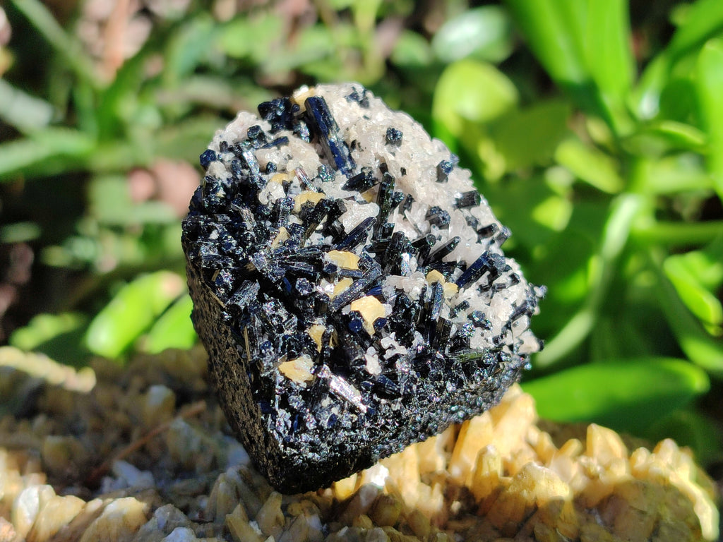 Natural Schorl Black Tourmaline on Orthoclase Matrix Clusters with a bit of Hyalite Opal x 6 From Erongo, Namibia - Toprock Gemstones and Minerals 