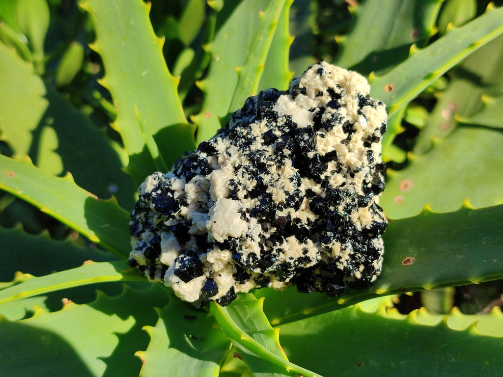 Natural Schorl Black Tourmaline on Orthoclase Matrix Clusters with a bit of Hyalite Opal x 6 From Erongo, Namibia - Toprock Gemstones and Minerals 