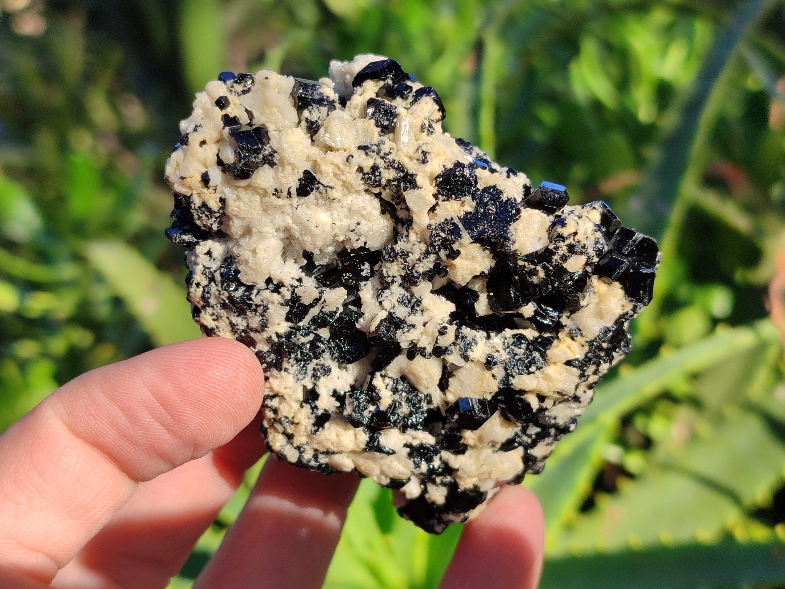 Natural Schorl Black Tourmaline on Orthoclase Matrix Clusters with a bit of Hyalite Opal x 6 From Erongo, Namibia - Toprock Gemstones and Minerals 