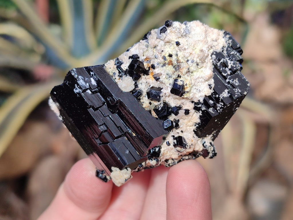 Natural Schorl Black Tourmaline on Orthoclase Matrix Clusters with a bit of Hyalite Opal x 6 From Erongo, Namibia - Toprock Gemstones and Minerals 