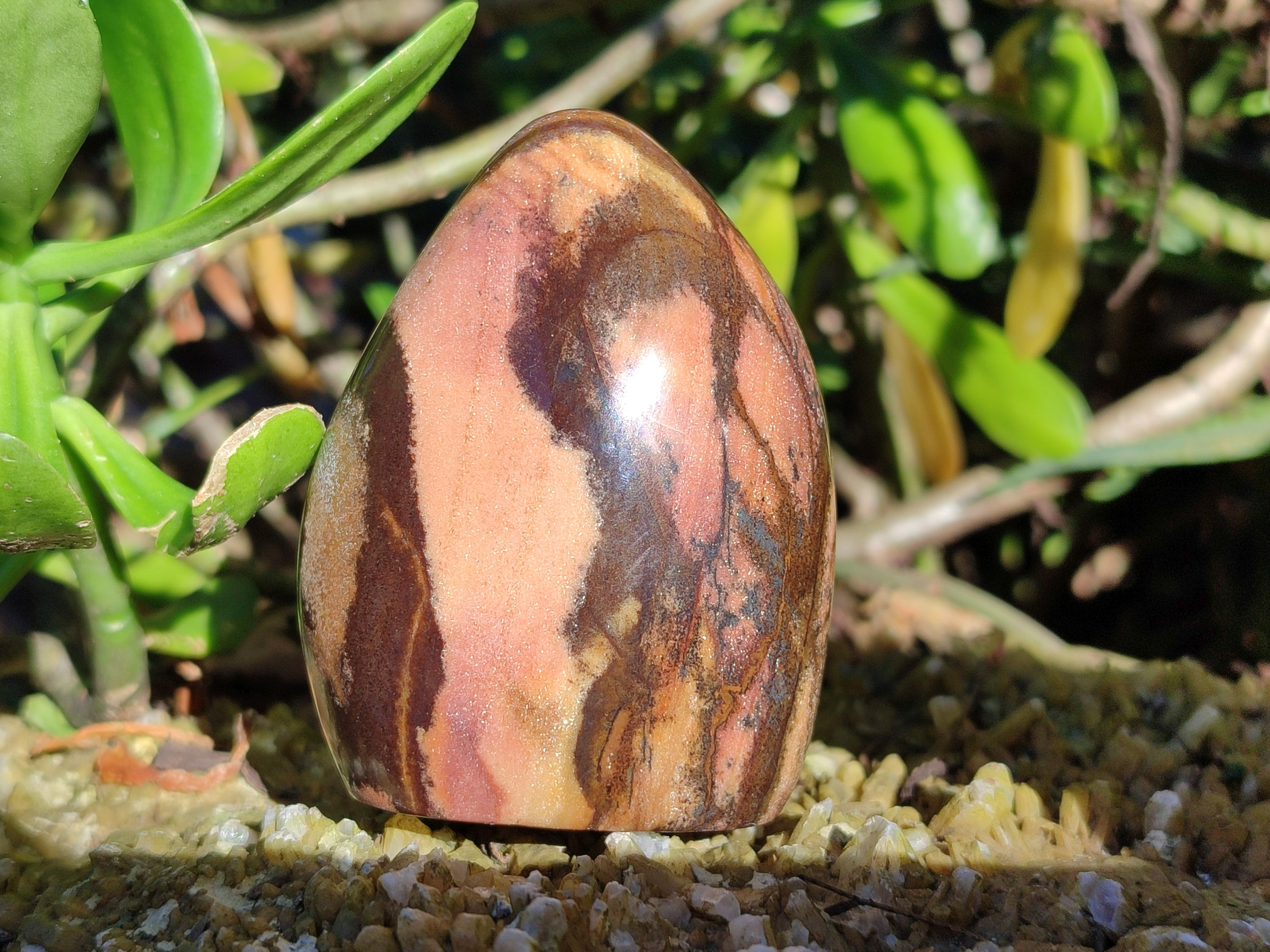 Polished Mixed Jasper Standing Free Forms x 4 - From South Africa - Toprock Gemstones and Minerals 