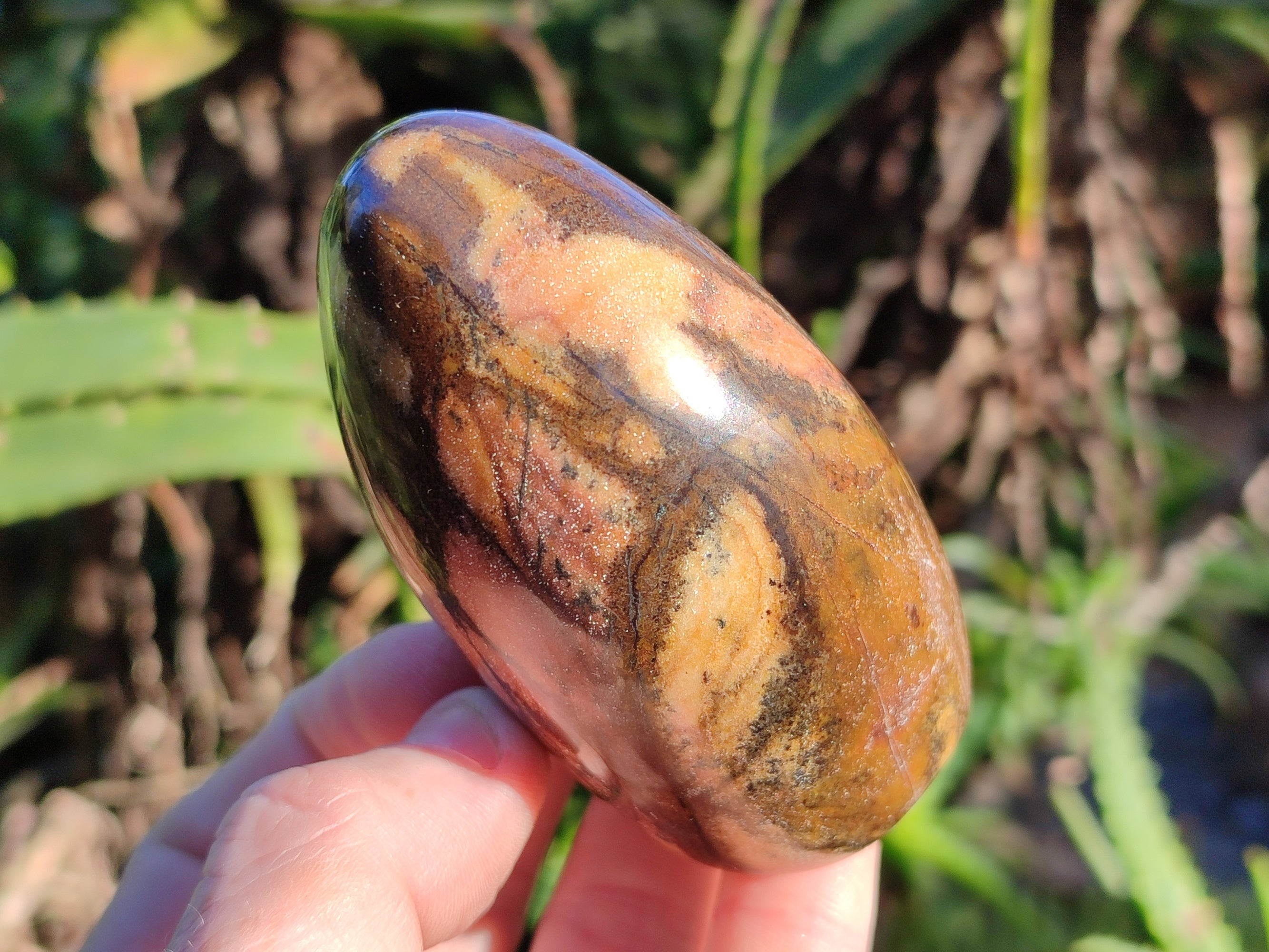 Polished Mixed Jasper Standing Free Forms x 4 - From South Africa - Toprock Gemstones and Minerals 