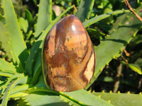 Polished Mixed Jasper Standing Free Forms x 4 - From South Africa - Toprock Gemstones and Minerals 