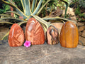 Polished Mixed Jasper Standing Free Forms x 4 - From South Africa - Toprock Gemstones and Minerals 