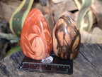 Polished Mixed Jasper Standing Free Forms x 4 - From South Africa - Toprock Gemstones and Minerals 