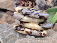 Polished Fossilized Septerye Slices x 4 From Mahajanga, Madagascar - Toprock Gemstones and Minerals 